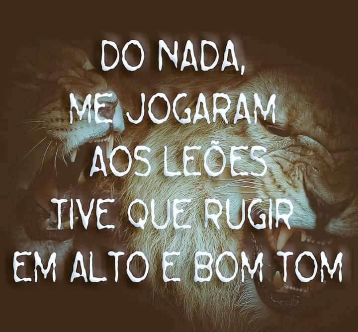 MsJude's tweet photo. Feito quem prefere rir daquele juba... 🐽🐷🎼
#MariaGadu #JayVaquer 
#JayVaquerNTS20Anos https://t.co/AQsyulIdgE