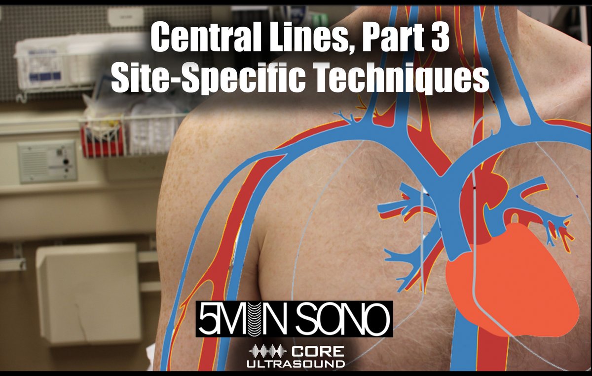 Jailyn/Ben tweet media