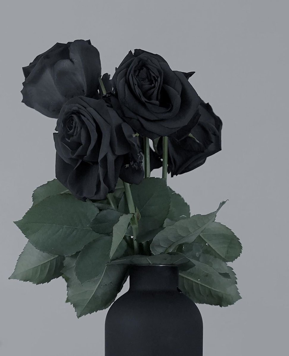 Blvck Paris Whte Paris 毎日企画 企画 63日目 スマホの待ち受けを毎日変えて楽しもう 黒薔薇を飾ろう By Blvck Paris 待受画像 薔薇 壁紙 ブラックパリ Blvckjapan T Co Qsdok0fahx Twitter