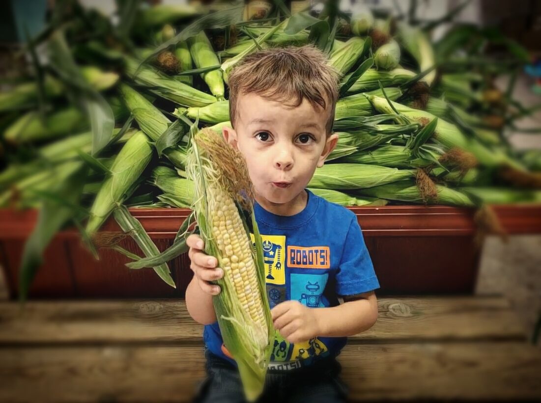 FusilierFarms96's tweet photo. Show us your sweetcorn face! #sweetcorn #delicious #farmfresh #homegrown

The season has begun! Want to freeze or can? Call, text, or Facebook message us and we can call you when the corn is perfect for preserving! Accepting pre-orders for our stores and the markets we attend. https://t.co/vf2xTehbCj