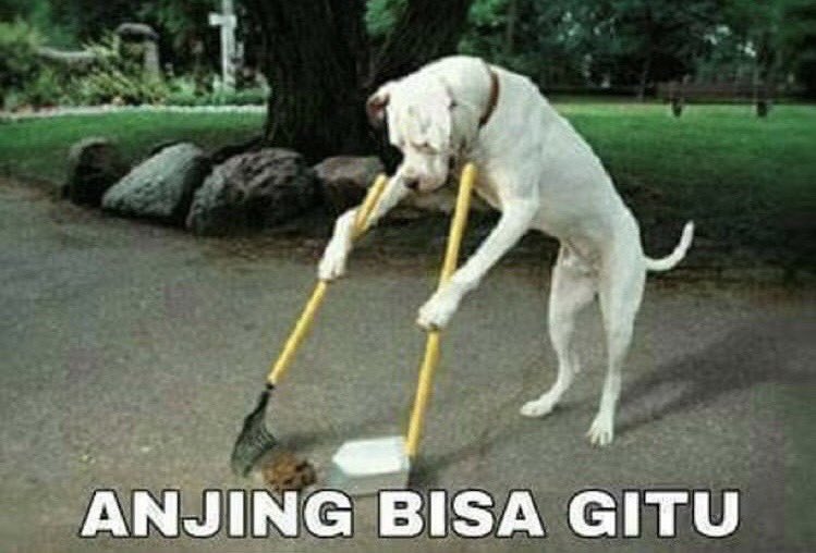 Edel89513408's tweet photo. 🤣 🤣 🤣 https://t.co/9zdY4iYm6G
