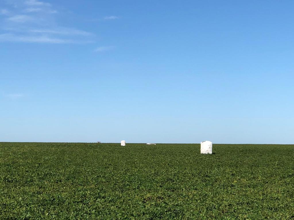 Hoteles de Polinizadorea!!! Paisajes Multifuncionales!!! Corredores Biológicos y Ensayos!!! Leo Galetto,  Aníbal Lino <a href="/JulioPriotti/">Julio Priotti</a> <a href="/guilledelg/">Guillermo  Delgado</a> <a href="/CONICETDialoga/">CONICET Dialoga</a> <a href="/LeonardoAmari14/">LD</a> <a href="/Syngenta_ar/">Syngenta Argentina</a> <a href="/AGDagro/">Aceitera General Deheza SA</a>