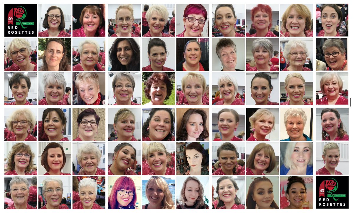 TheRedRosettes tweet media