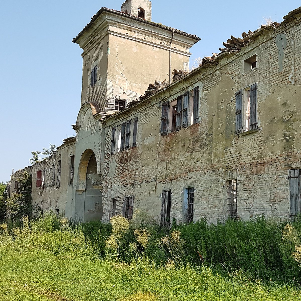 GiuliaTourGuide's tweet image. Fontanili di Valle Re, a Campegine. La natura e la bellezza della Pianura Padana.