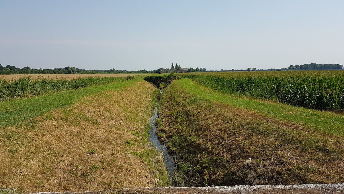 GiuliaTourGuide's tweet image. Fontanili di Valle Re, a Campegine. La natura e la bellezza della Pianura Padana.
