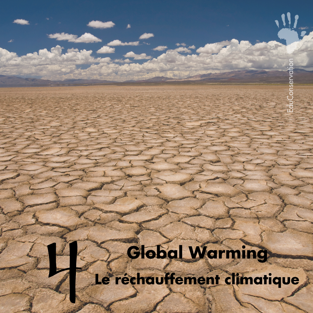 EduConservation's tweet photo. #EduConservation
[Fr] 📚Le Cahier d'Activités EduConservation couvre 9 thèmes principaux liés à la conservation de la nature pour les élèves de l’école secondaire.
#Education #Conservation #Africa #africayouth #kidsofafrica #noplanetb #nature #earth #learning #knowledgeispower https://t.co/UjTrsmUC7b
