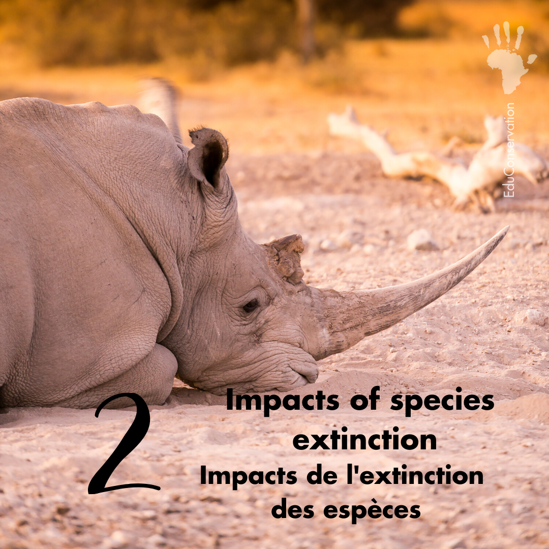 EduConservation's tweet photo. #EduConservation
[Fr] 📚Le Cahier d'Activités EduConservation couvre 9 thèmes principaux liés à la conservation de la nature pour les élèves de l’école secondaire.
#Education #Conservation #Africa #africayouth #kidsofafrica #noplanetb #nature #earth #learning #knowledgeispower https://t.co/UjTrsmUC7b