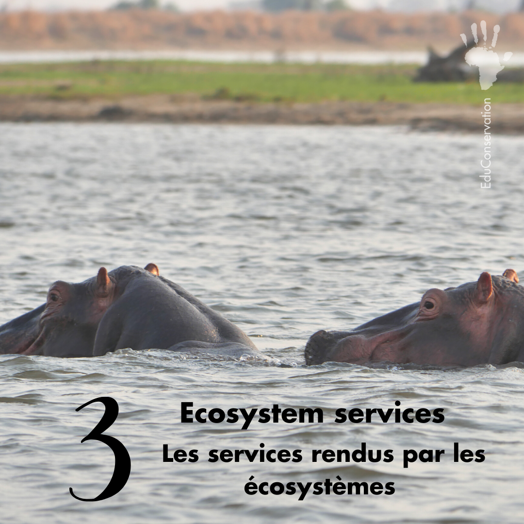EduConservation's tweet photo. #EduConservation
[Fr] 📚Le Cahier d'Activités EduConservation couvre 9 thèmes principaux liés à la conservation de la nature pour les élèves de l’école secondaire.
#Education #Conservation #Africa #africayouth #kidsofafrica #noplanetb #nature #earth #learning #knowledgeispower https://t.co/UjTrsmUC7b