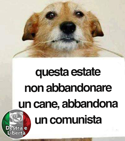 lgatto4's tweet photo. 🤣🤣🤣🤣🤣 https://t.co/cu6laJAsjC