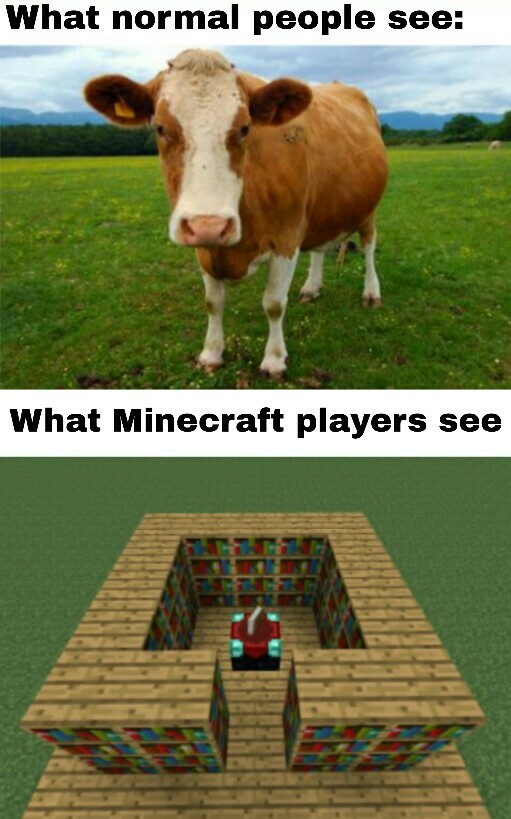 Minecraft Memes Minecraft Is A Peaceful Game