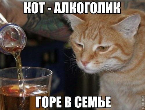 К поискам заммэра Черкасс Ботнара подключилась полиция - Цензор.НЕТ 7137