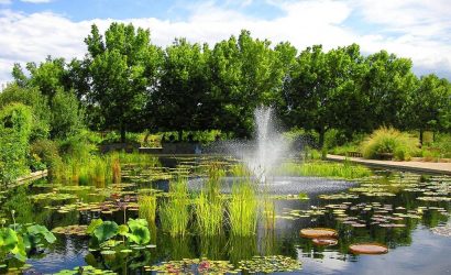 The Limbe Botanic garden, established as Victoria Botanic garden in 1892 by the German colonial government for the purpose of importation, introduction, and development of exotic tropical crop species of economic and medicinal potential.