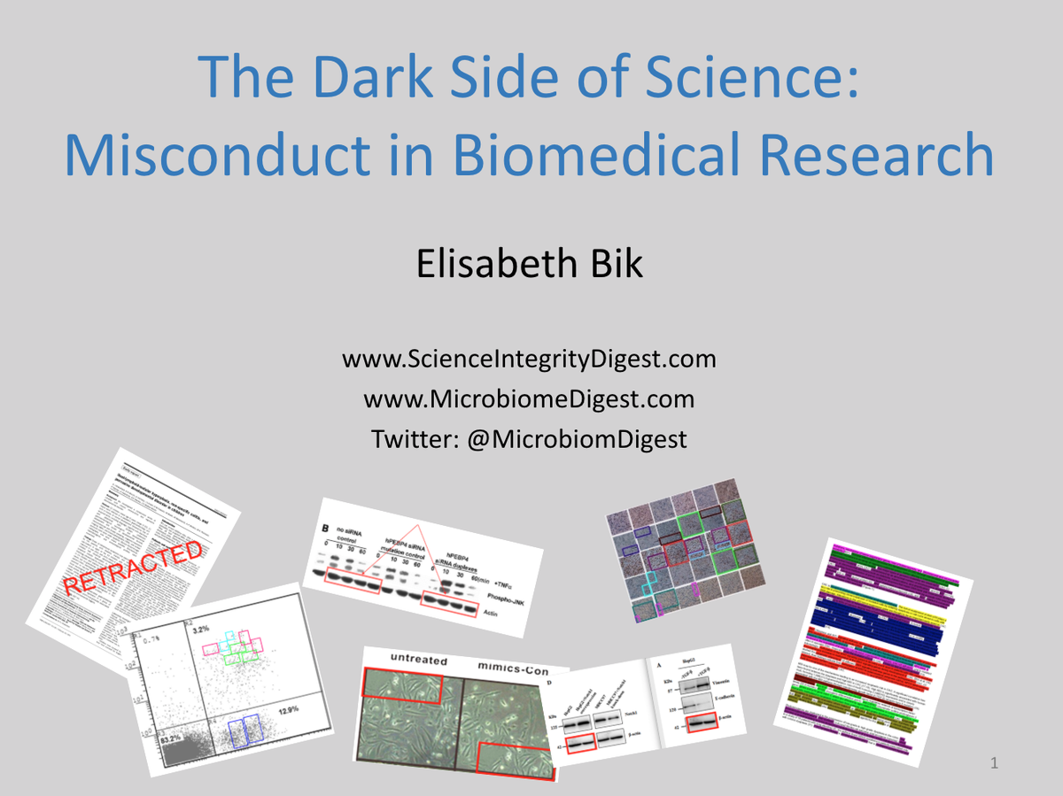Elisabeth Bik (@microbiomdigest) on Twitter photo It's past Midnight here, but working on my talk tomorrow for <a href="/imperialcollege/">Imperial College London</a> about science integrity.
Thank you <a href="/JoshMcquail/">Josh McQuail</a> for inviting me! It's past Midnight here, but working on my talk tomorrow for <a href="/imperialcollege/">Imperial College London</a> about science integrity.
Thank you <a href="/JoshMcquail/">Josh McQuail</a> for inviting me!