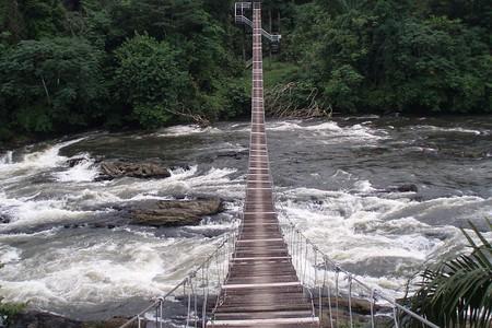 The Hanging bridge of the Korup national park. Located in the Southwest Region of Cameroon, the park extends over 1,260km of mostly primary forest. Reputedly one of Africa's oldest and richest tropical forests in terms of floral and faunal diversity, established in 1986