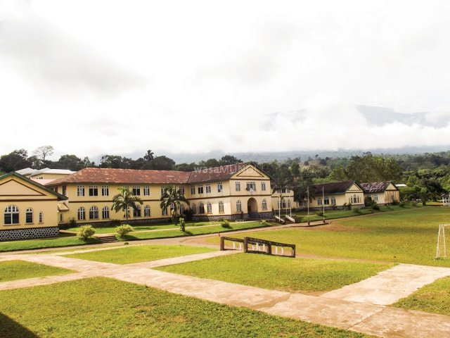 St. Joseph's college Sasse the oldest secondary school in Cameroon established in 1939 by Mill Hill missionaries. Alma mater to some of Cameroon's most Famous including H.E Peter Mafany MusongeH.E Ephraim InoniNigerian actorsPete Edochie and Zach Orjiand my humble self