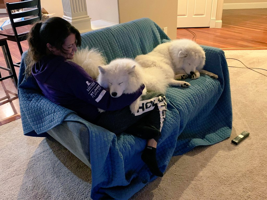 xerogaming_joel's tweet photo. Something to end your night on a much more better note 😁💖🐾🐾 Thanks for always delivering the best stream every day! @MsVixen #Motherdaughtersbonding #AryaSansa #Floofsisters #BeautifulGhost #WemissyouGhost #VixenMemories #VixenLove https://t.co/6EW2gMuLcB