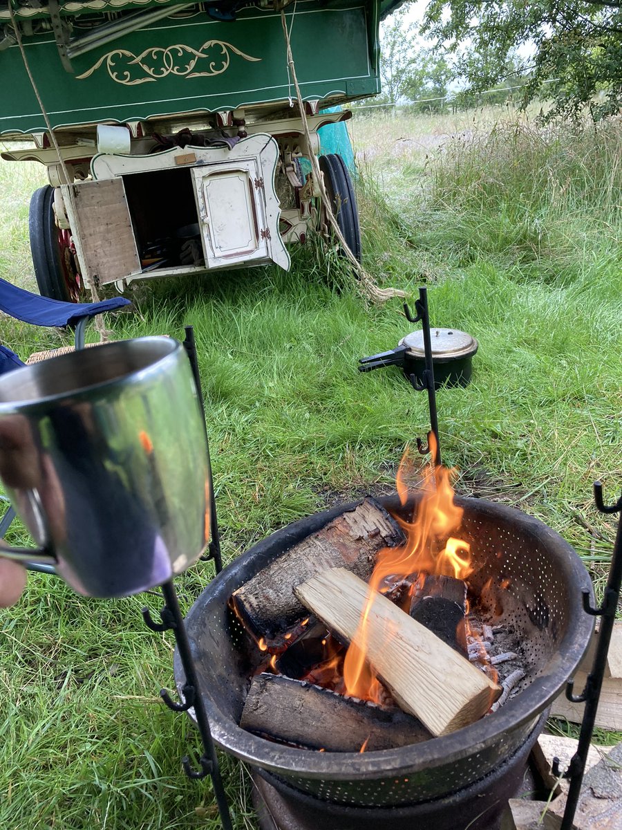 Amanda Vipond tweet media