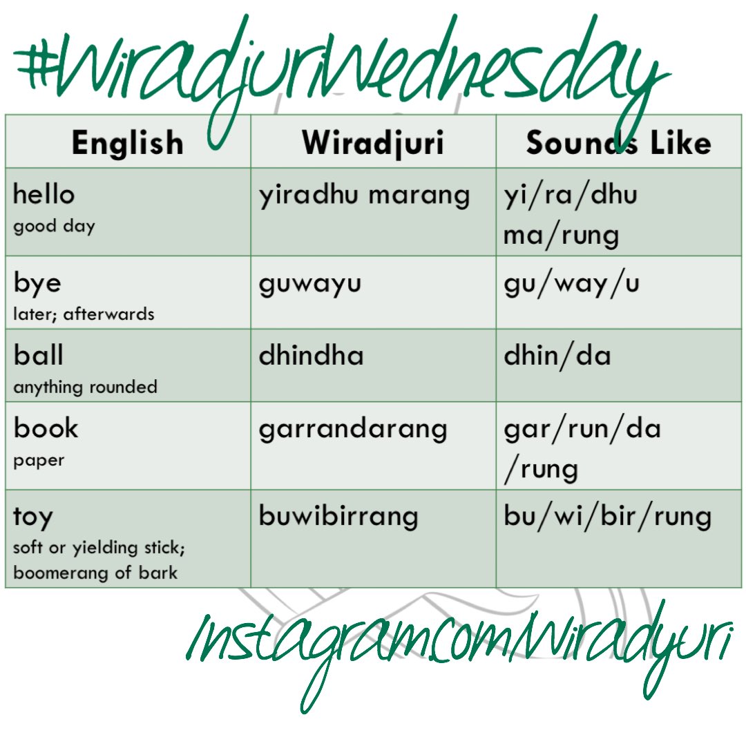 bigibila's tweet photo. #WiradjuriWednesday Week 5 of Bali Yarra (Baby Talk), a series of words to teach yourself and your babies. Pronunciation video at https://t.co/gadUzpype8. Mandaang guwu to the work of Dr Uncle Stan Grant and Dr John Rudder. #Wiradjuri #AboriginalLanguages https://t.co/cFyfDakqhI