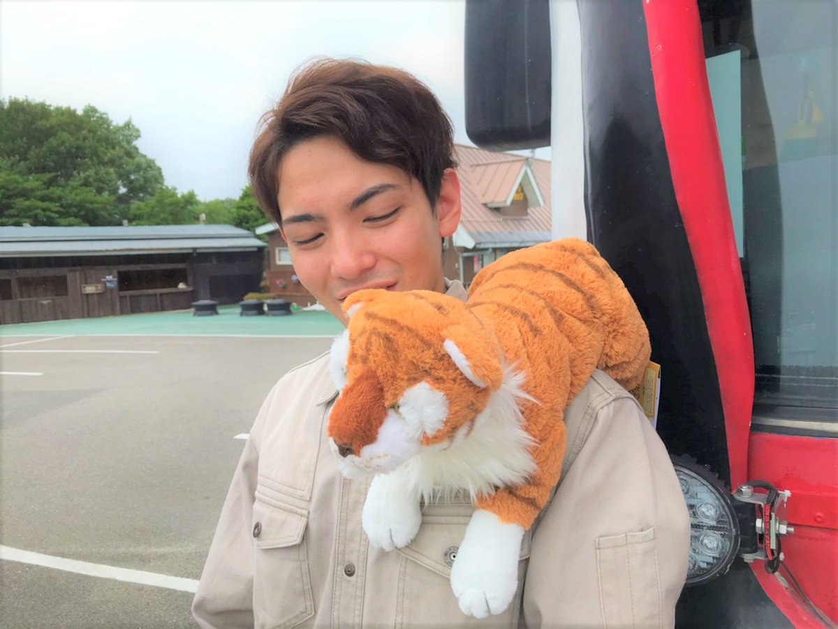 那須サファリパーク フラッフィーズシリーズに ボルタ 登場しました 手頃な大きさがかわいいと評判です サファリショップで 販売中 オンラインショップでのご注文も可能です T Co 2puppntals 那須サファリパーク サンレモン フラッフィー