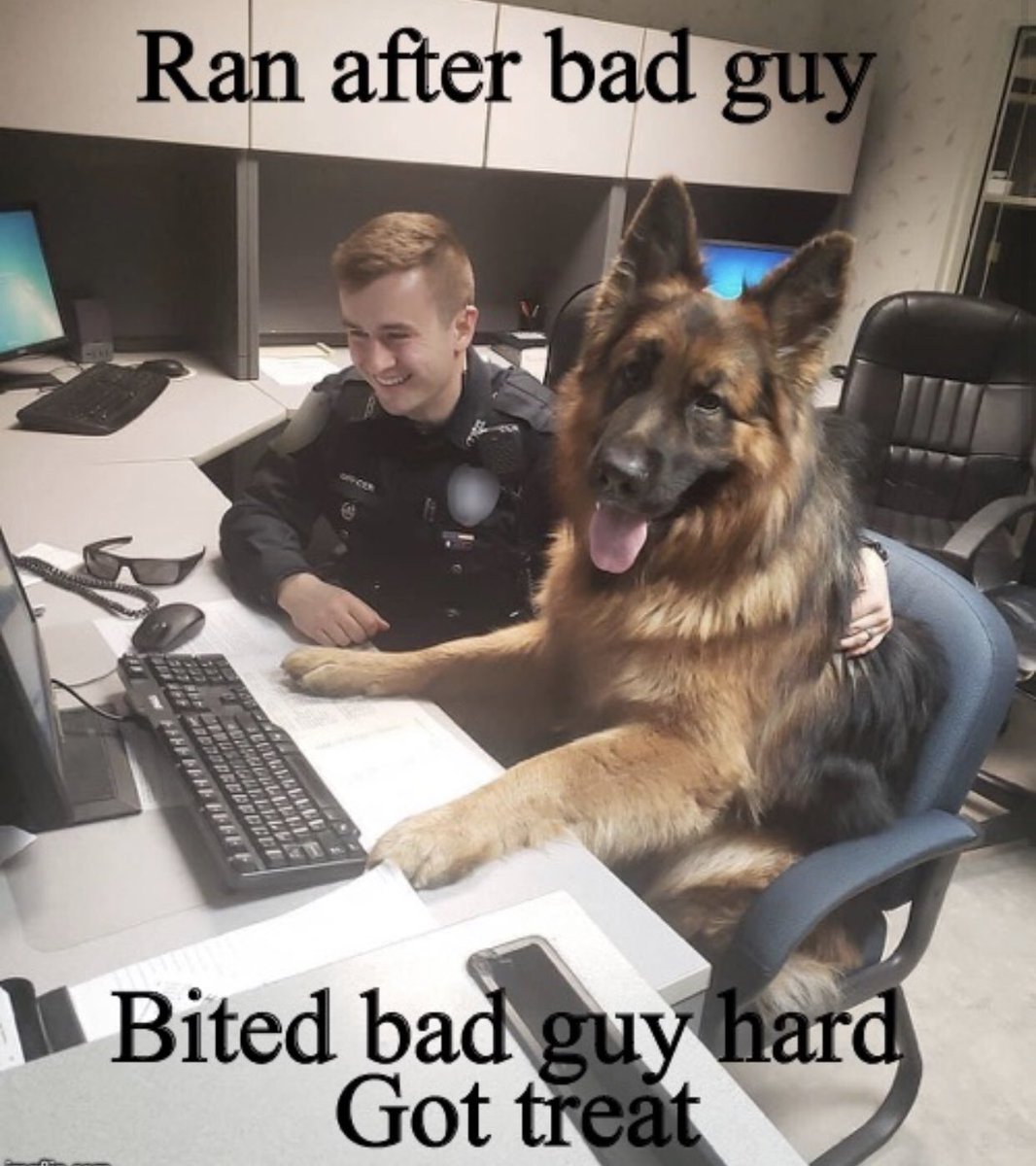 2019jager's tweet photo. #k9 #BackTheBlue #backthebadge #toothhugs https://t.co/K7EXvWydRy