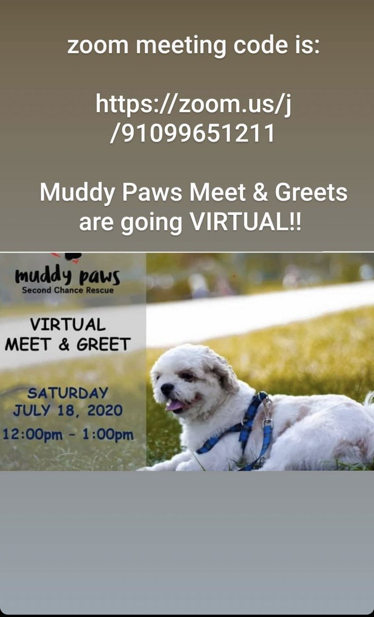 muddy paws second chance rescue