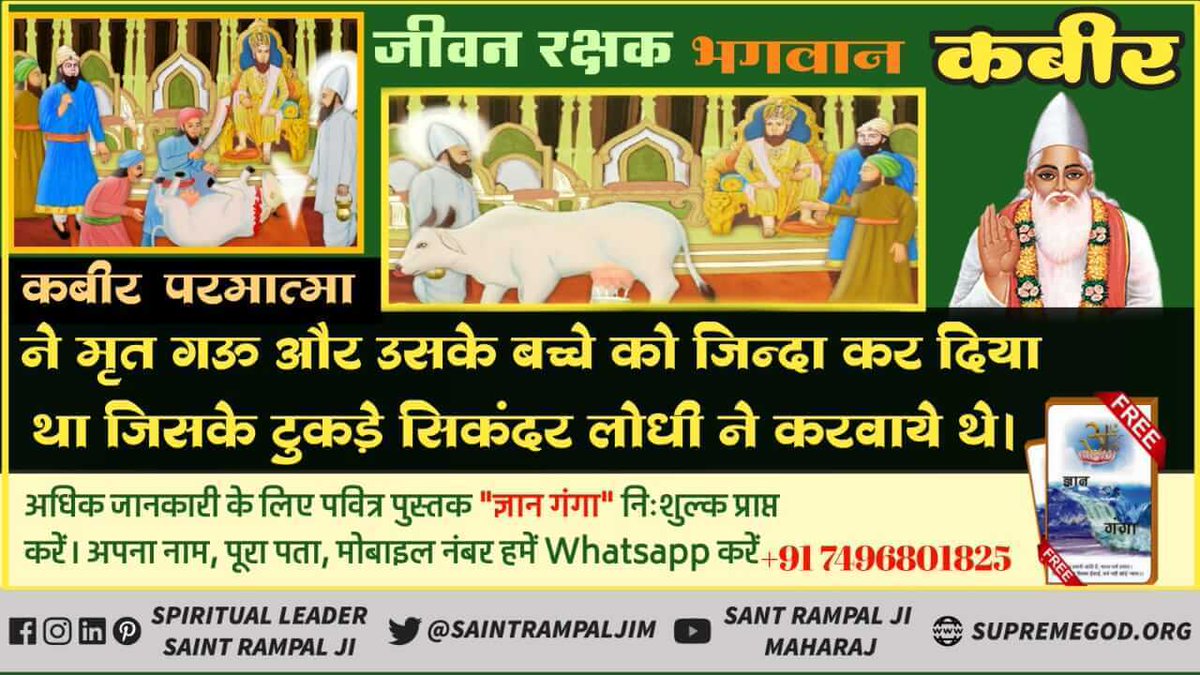 Soniadassi5's tweet photo. #GodKabir_OceanOfHappiness
🔸परमात्मा कबीर जी की महिमा से अनजान दिल्ली के बादशाह सिकंदर लोदी ने गर्भवती गाय के दो टुकड़े किये और कबीर जी से उसे जिंदा करने के लिए कहा। परमेश्वर कबीर जी ने बच्चे और गाय दोनों को तुरंत जिंदा कर दिया। https://t.co/Uyo9ozOrw7