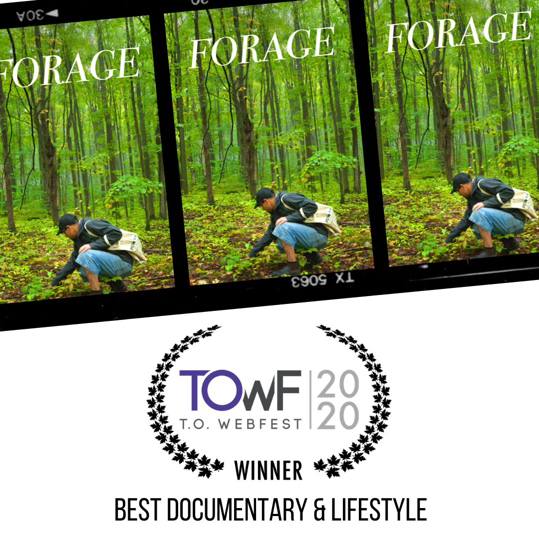 webseriescanada's tweet photo. Congratulations to "Forage" for bringing home the #TOWebfest2020 award for #BestDocumentary !
@LifestyleCBC
#CBCGem #TOWebfest #DigitalSeries #Webseries #Webisode https://t.co/3w4F9gOZY7