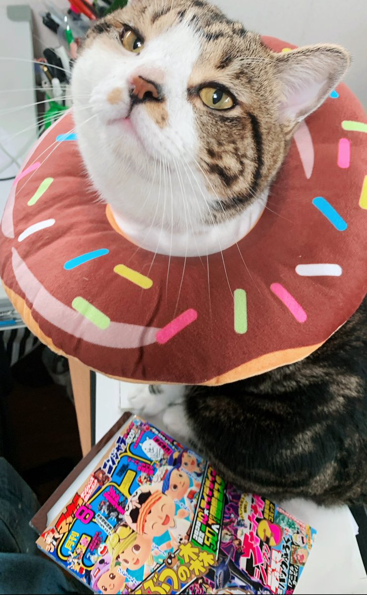 金林洋 ﾆﾝｼﾞｬﾗ3巻発売中ぅ コロコロコミック８月号とビッグフランク調達したぜ ニンジャラ