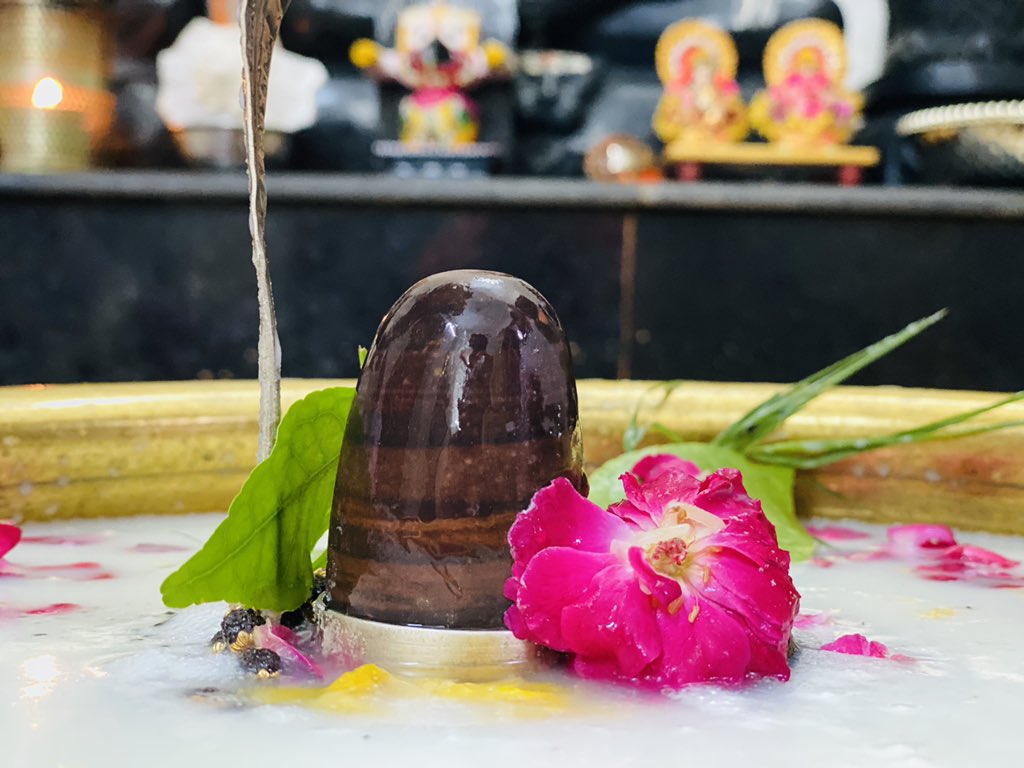 sambitswaraj's tweet photo. दधि स्नानम्
गन्धम स्नानम्
भष्म स्नानम्

शुद्धोदक स्नानम्

ॐ नमः शिवाय।। https://t.co/ZVekXec6Eq