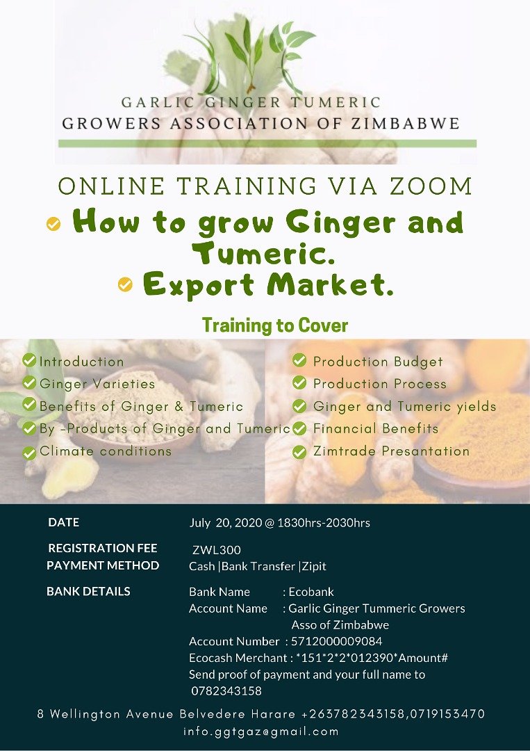 Garlic Ginger Tumeric Growers Association of Zim tweet media