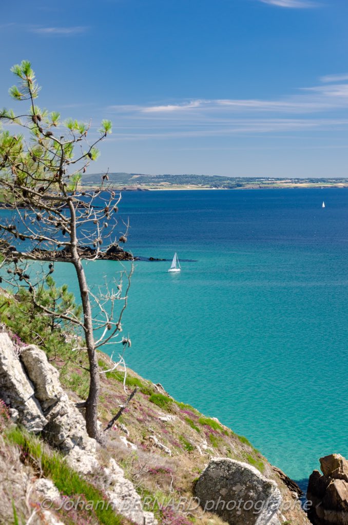 Allez il est temps de débuter la semaine!!! Je mets les #voiles pour cette courte #semaine!! #rdv dans 3 jours pour retrouver la plage, la mer , la balade... Cette #semaine je vais passer un peu (beaucoup) de temps à la #piscine!! Mais pour y travailler !!!😉 #MagnifiqueBretagne