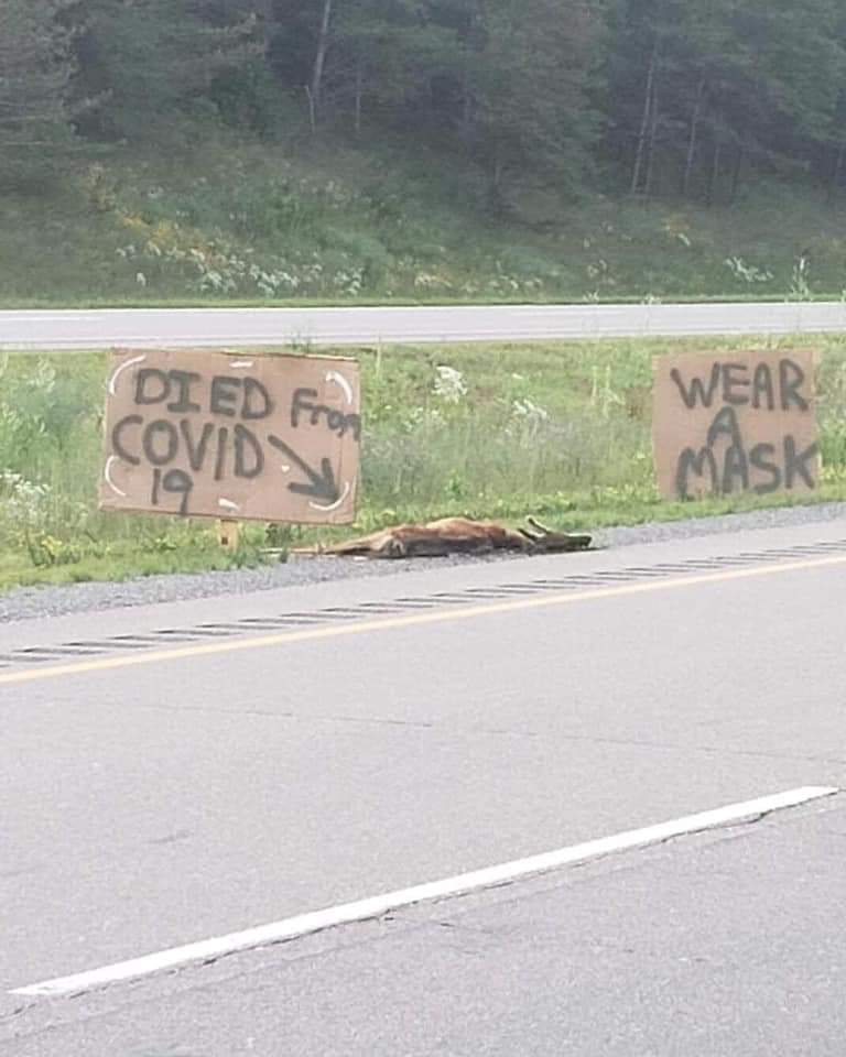 PPCJasonMac's tweet image. Arguing with mask nazis is a waste of time.

I'm still never wearing one, unless I can find the most offensive, socially uncomfortable and unacceptable one i can find.