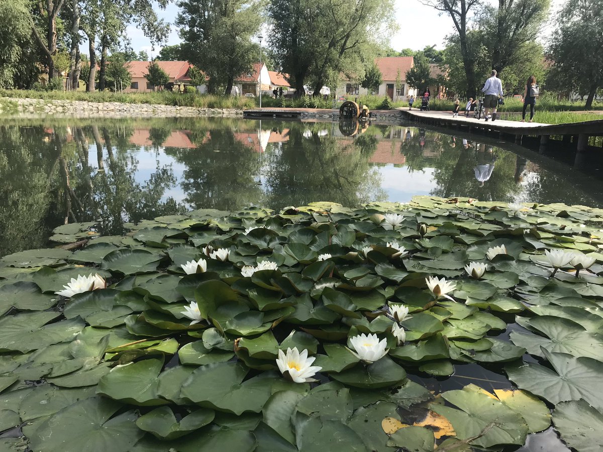 Kucerova_uci's tweet photo. Zarostlý prostor návse proměnili v biotop jímající dešťovku. Funguje rok, oblíbily si ho děti, dává vodu na závlahu, ochlazuje okolí. Jako pilotní ho ocenil ministr Richard Brabec /ANO/. Podobný projekt proti suchu podle něj má mít časem každá ves. Spoluúčast obcí prý max. 40 %. https://t.co/5NP5LJHdFS