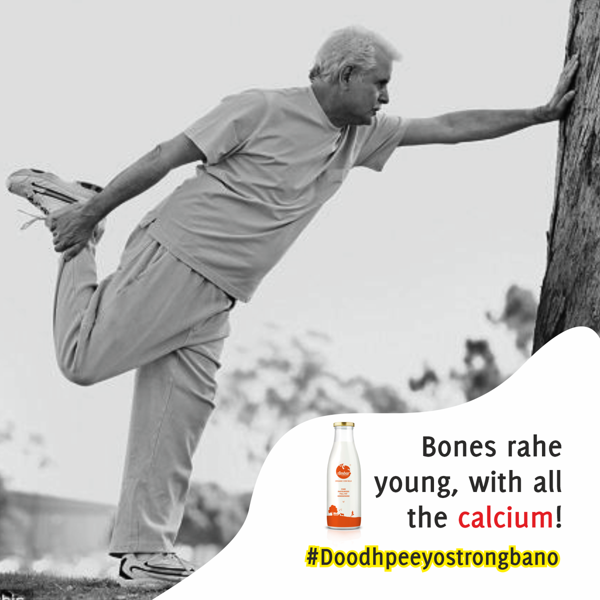 ambarmilkdewas's tweet photo. Bones की strength बढ़ने का सबसे आसान तरीका है दूध क्युकी इसमें है calicum. इसीलिए पीयो ambar milk रोज़, और बनाओ bones को young और strong. 
_____
#AmbarMilk #Dewas #Indore #MadhyaPradesh #OrganicCowMilk #FreeHomeDelivery https://t.co/J63acBRyue