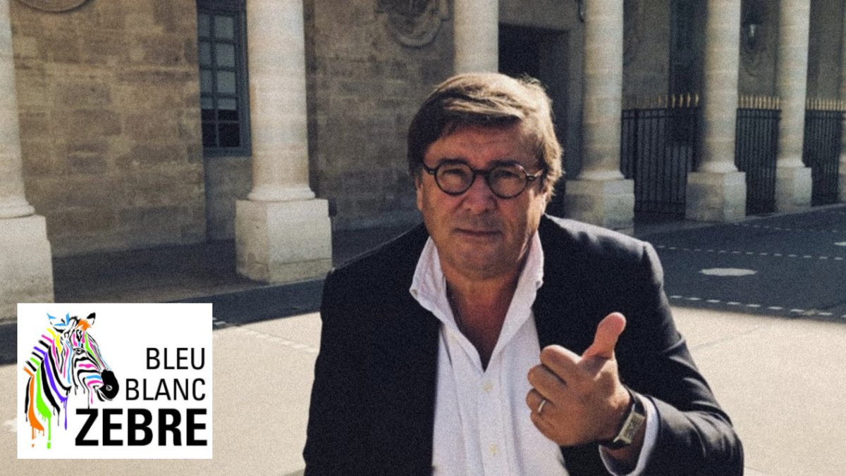 leszebres's tweet photo. Hier, y'a quelqu'un qui m'a dit "C'est quoi Bleu Blanc Zèbre ?". Alors pour tous ceux qui ont envie de le savoir ou de le faire savoir, partagez cette vidéo dans laquelle Guillaume Villemot vous dit tout ! ▶️https://t.co/o0VJkQkzWL https://t.co/S5wp4rH38R