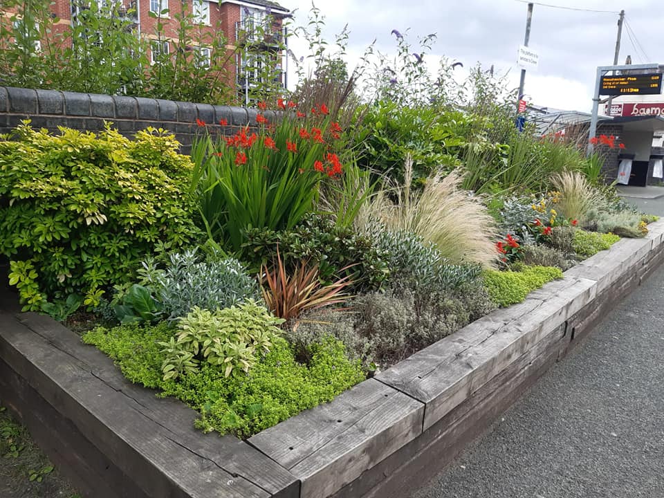 Station planters and beds are blooming 🥀🌺🌿 #Nantwich #BestKeptStation
