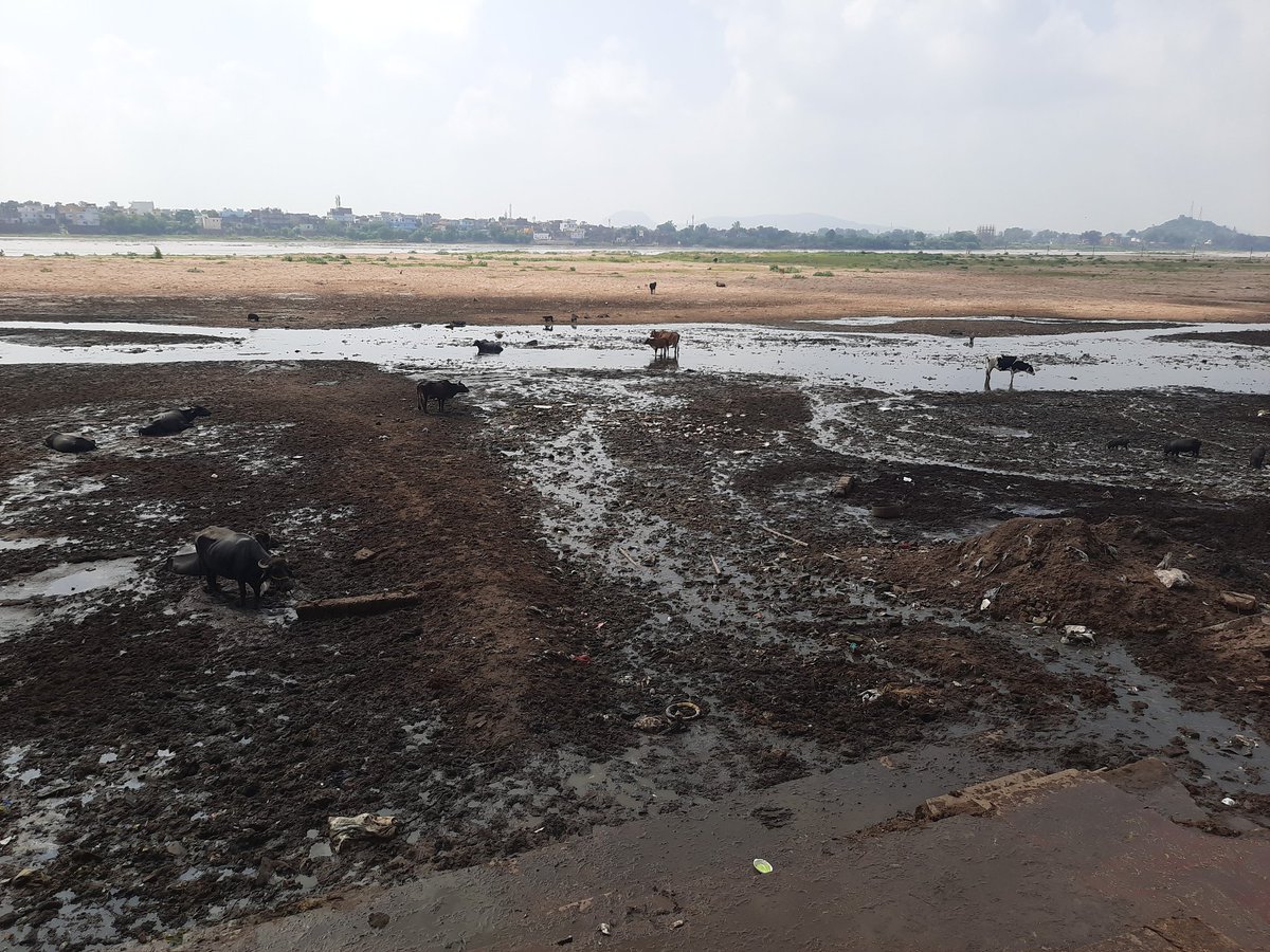 bnpathakjee's tweet photo. माननीय पटना उच्च न्यायालय एवं माननीय मुख्यमंत्री बिहार सरकार के आदेशों को धत्ता बताते हुए मोक्षदायिनी फल्गु में रोज नये नालों को मिला कर गया नगर निगम फल्गु नदी को 'मोक्ष' दिलाने पर आमादा है।
@DrPremKrBihar
@officecmbihar @Official_Dist
@PMOIndia @swachhbharat @moefcc @SushilModi https://t.co/TJ3NtsQs4q