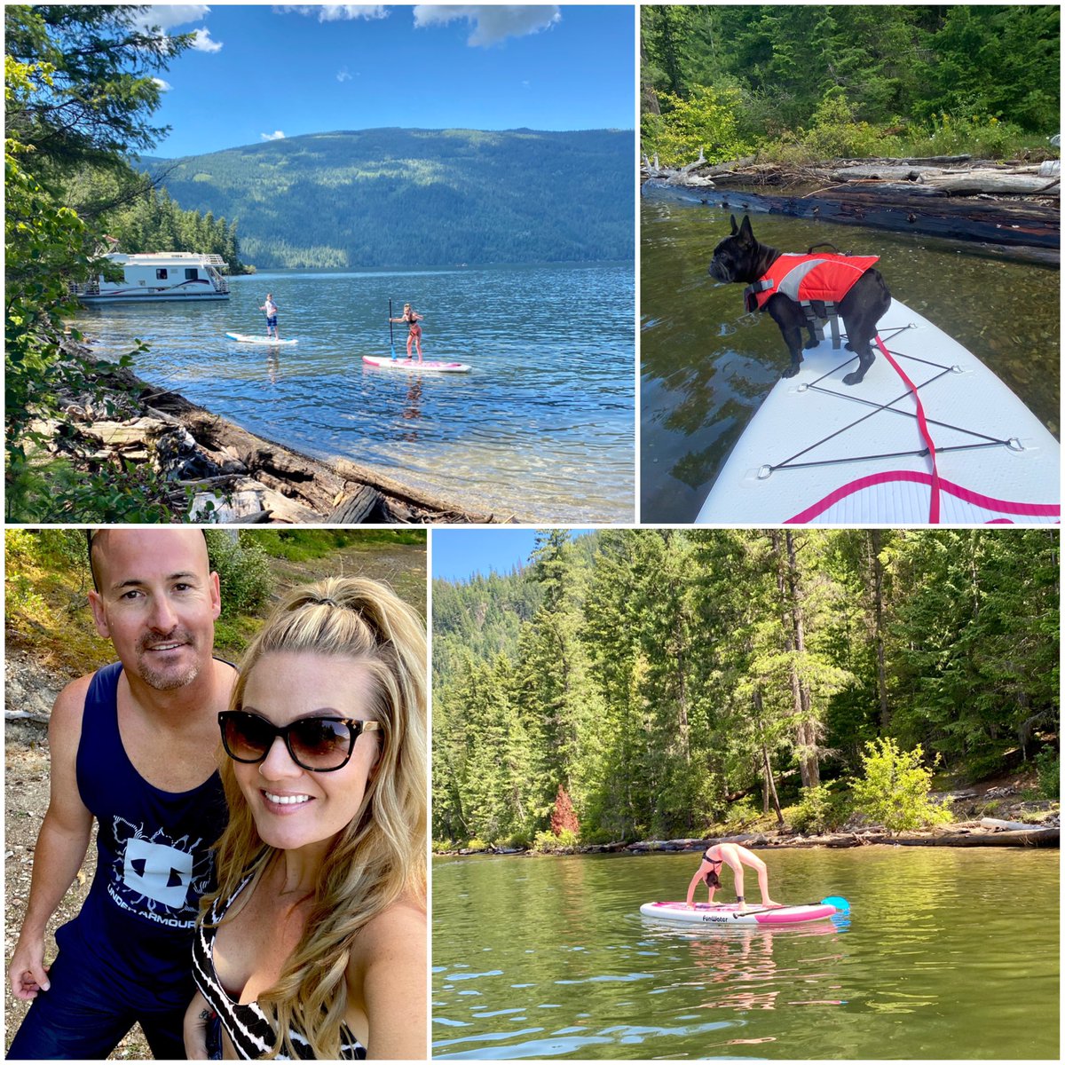 MelDelaronde's tweet image. ☀️🏔
#summervibes #shuswaplife #paddleboardingadventures #sunshine #mountains