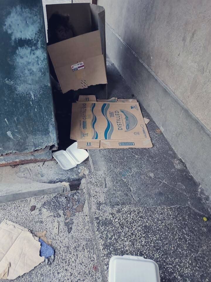 smartymarth's tweet image. We thank all the sponsors for giving us free food for all the frontliners. 
To make sure that they don’t go into waste, once there are extra food in the office, after logging out, I bring them to some street children just around the corner. 💖 
#WeHelpAsOne