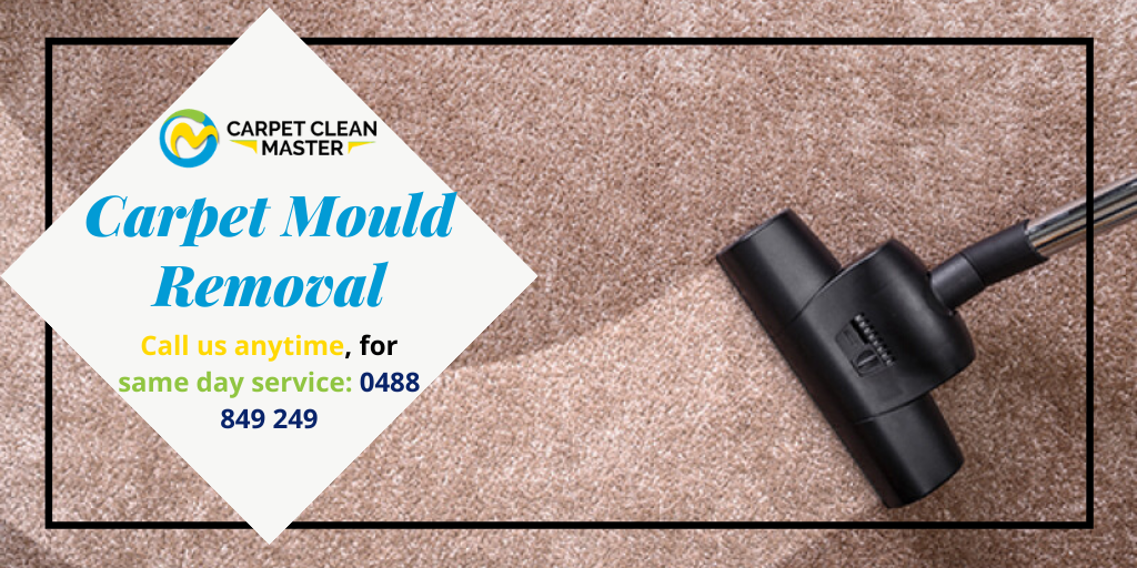 carpetcleansy's tweet photo. Call the experts if Carpet Clean Master to get rid of mould, present on your #carpets. We provide the best treatment for #mouldremoval. Hurry up and book our professionals now!!!

Visit here for further details: https://t.co/IIwbjkbmOk

#carpetmouldremoval #carpetcleaning https://t.co/UKENrdbYnq