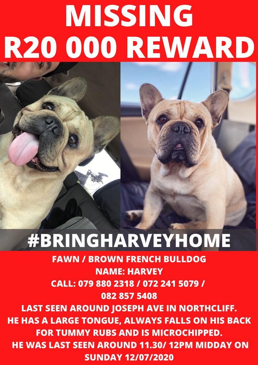 AthensDimitri's tweet photo. @Radio702 @CliffCentralCom @Hot919News @JacaNews @News24 @caxmag @YouMagazine @SundayTimesZA @METROFMSA @5FM @CindyPoluta @MelodyMiyaVibe @SABreakingNews @SABCNews https://t.co/INXXIr8euX