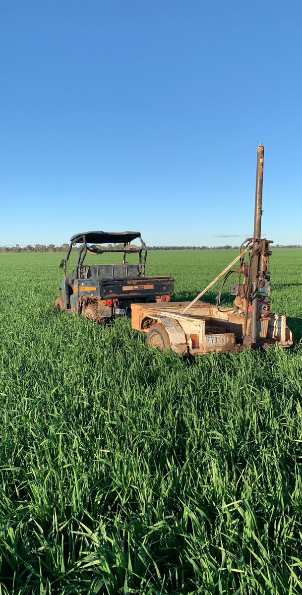 Looking at what the N is doing