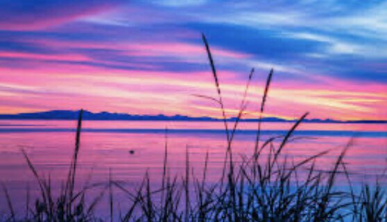 Barbara by the Sea 🌊😎🏖️ tweet media