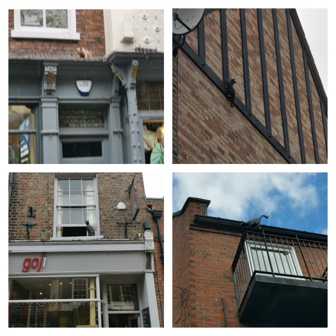 YASupdates's tweet photo. Fab couple of hours spent doing York's Cat Trail! Highly recommended, never looked at the city this way! https://t.co/jR0Ge8xpjh
@VisitYork #York #yorktourism #yorkcattrail https://t.co/EuGFKHufRc