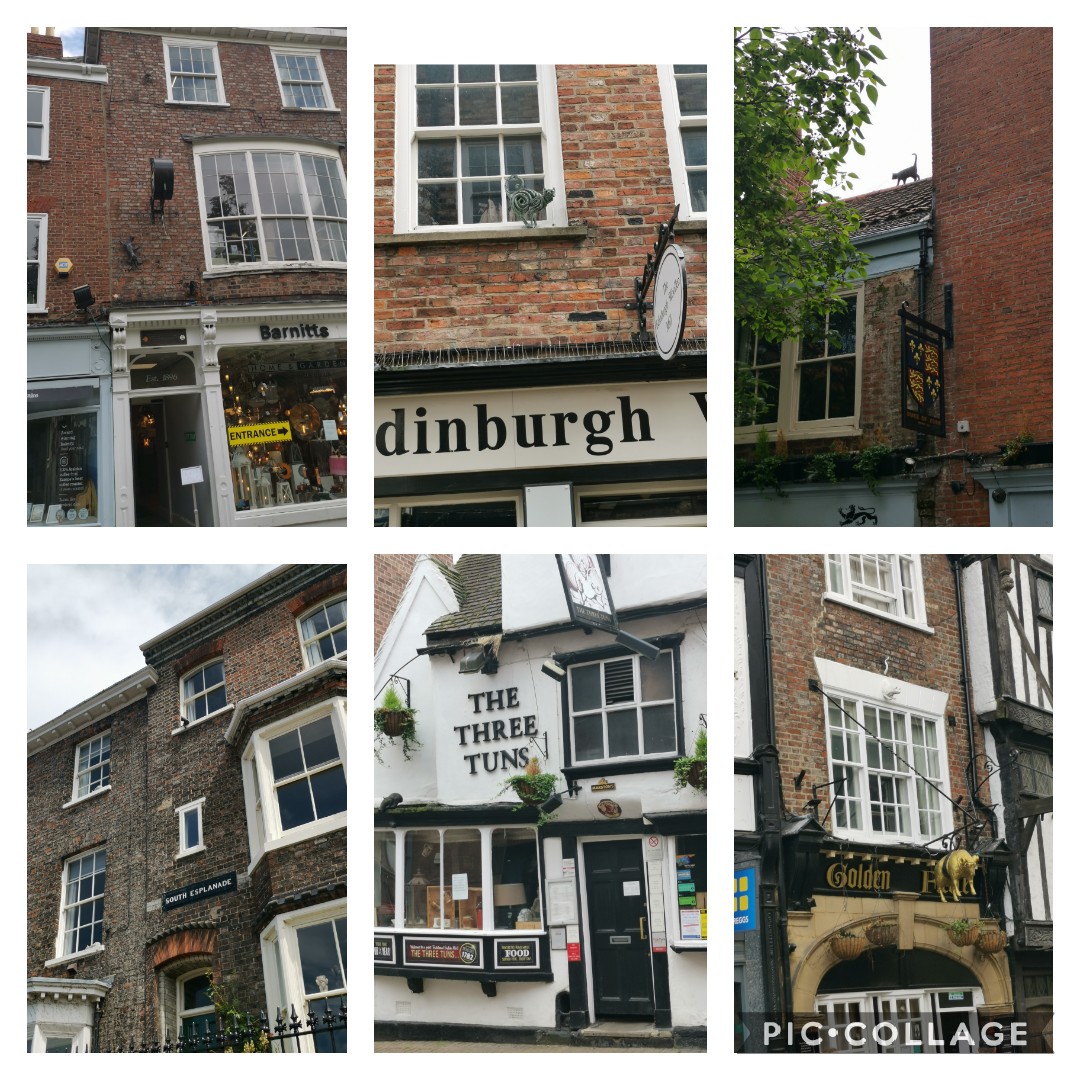 YASupdates's tweet photo. Fab couple of hours spent doing York's Cat Trail! Highly recommended, never looked at the city this way! https://t.co/jR0Ge8xpjh
@VisitYork #York #yorktourism #yorkcattrail https://t.co/EuGFKHufRc