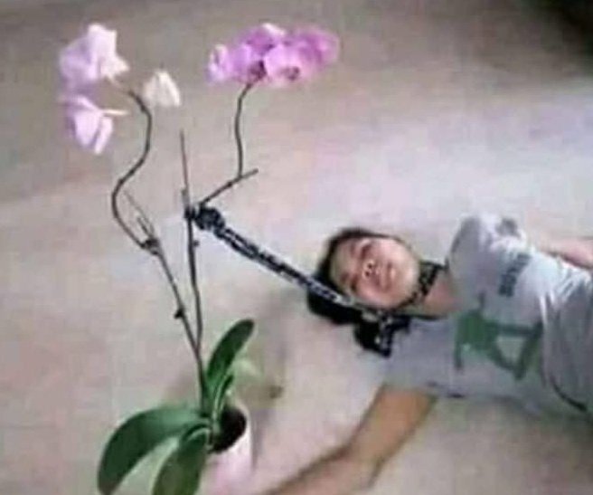 _KD_Shakya's tweet photo. After kidnapping :
Kidnapper: We have kidnapped your child
Mom: Meri baat karao
Kidnapper: Lo Karo baat
MOM: Aur chla Mobile !!!
Me: https://t.co/F9KX3hj2uA