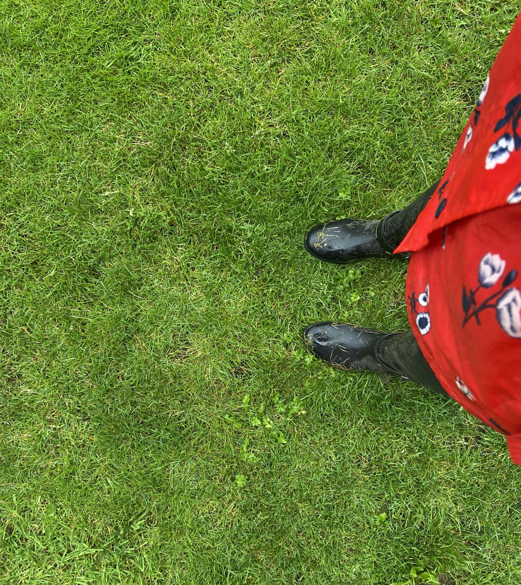 Caroline Brown tweet media