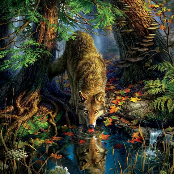 gladhill_in's tweet photo. "I'am wolf. I have watched for many years my hunting grounds diminish - Trees replaced by buildings, game replaced by humans. I have been driven higher and higher into the mountains yet the humans still come, and I'm driven even further from my hunting grounds. Save The Wolves" https://t.co/dkGHUZC5Sy