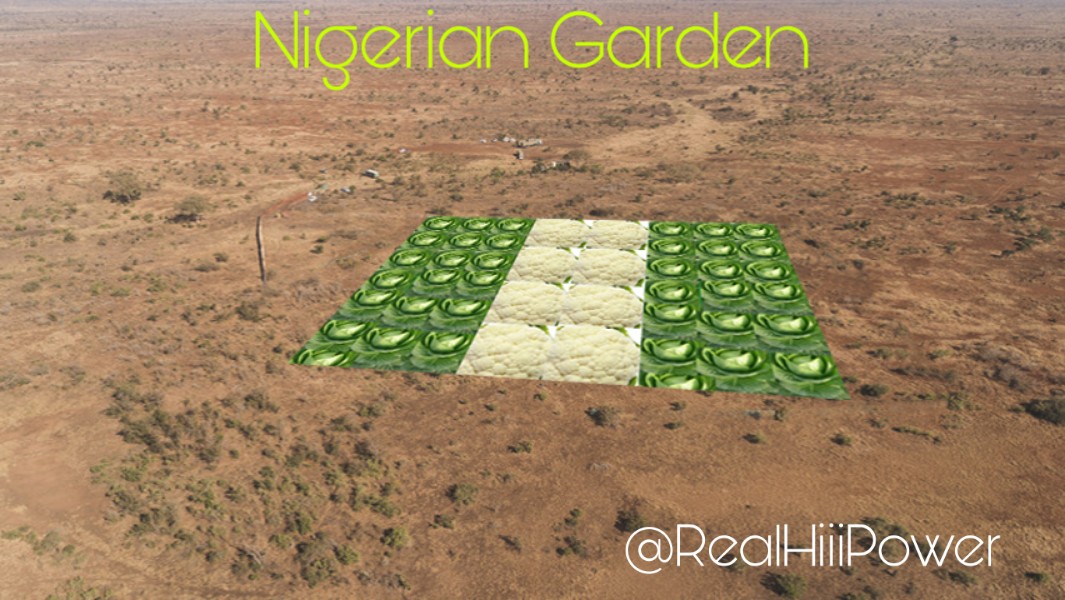 RealHiiiPower's tweet photo. Nigeria crop circle 

#Nigeria #Foodsecurity #COVID19 https://t.co/ek1DmjR96B
