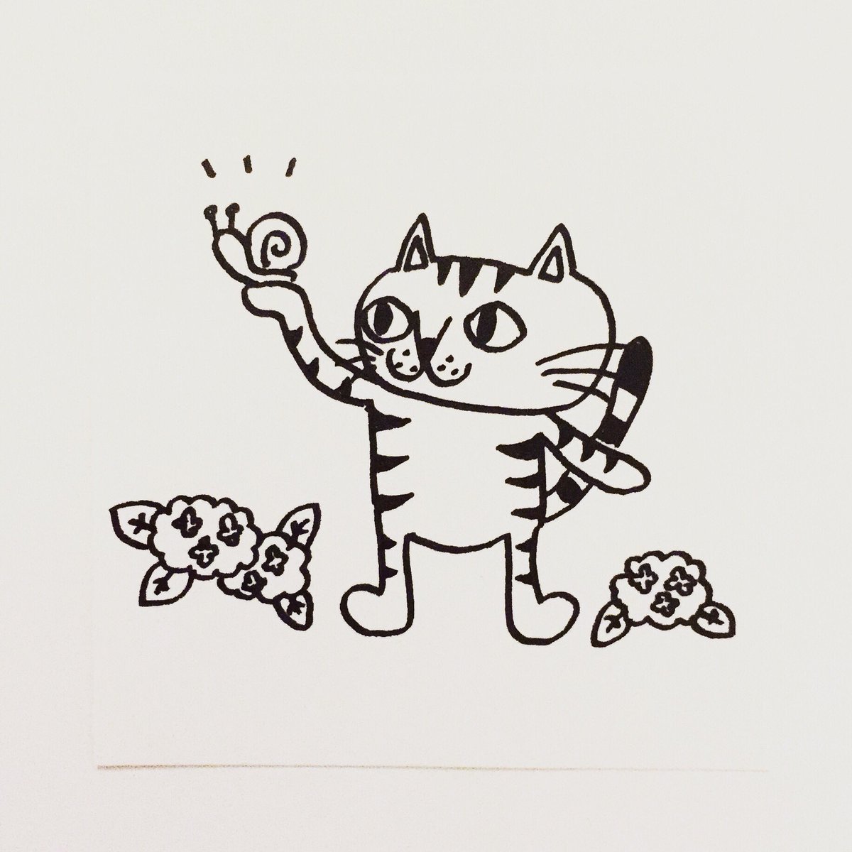 肌子 على تويتر 今日のイラストはコレ ｪ カタツムリと出会った猫 イラスト 猫 ネコ ねこ オリジナル ペン画 アナログ画 絵 猫の絵 白黒猫 キジトラ猫
